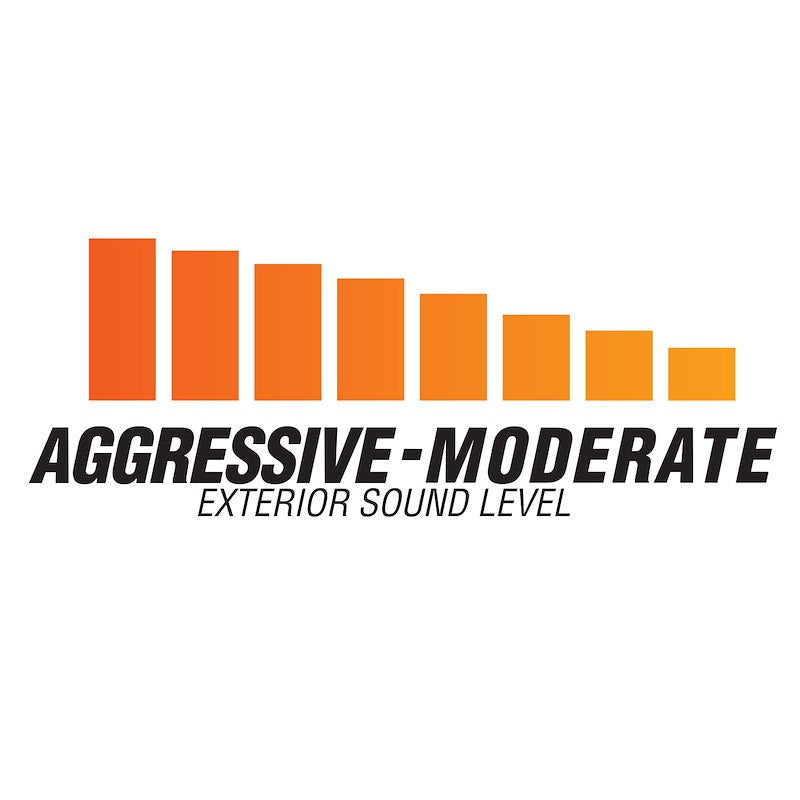 Flowmaster American Thunder Dual Rear-Exit Cat-Back Exhaust For F-150 (2021-2025) - 818169